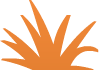 Orange Bush 4